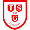 TSG Vereinswappen